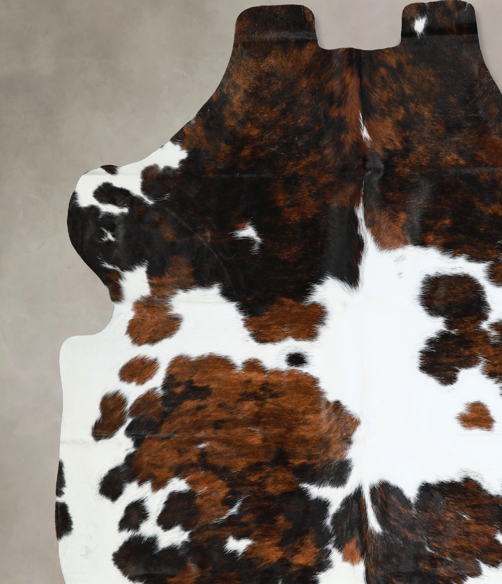 Tricolor X-Large European Cowhide Rug 7'0"H x 6'11"W #A40555 by Hudson Hides