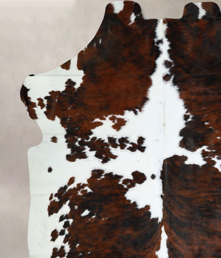 Tricolor X-Large European Cowhide Rug 7'1"H x 6'11"W #A40556 by Hudson Hides