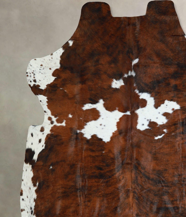 Tricolor X-Large European Cowhide Rug 6'11"H x 6'11"W #A40558 by Hudson Hides