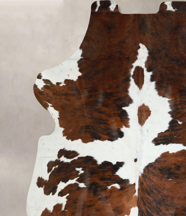 Tricolor X-Large European Cowhide Rug 6'9"H x 6'2"W #A40559 by Hudson Hides