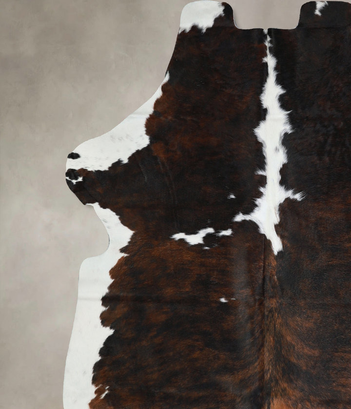 Tricolor X-Large European Cowhide Rug 6'10"H x 6'2"W #A40560 by Hudson Hides