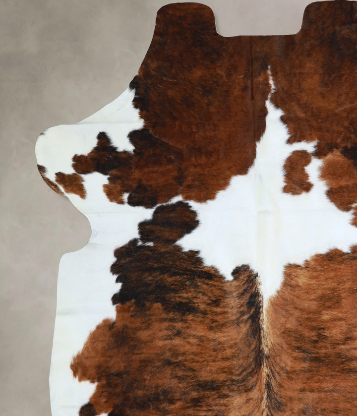 Tricolor X-Large European Cowhide Rug 6'11"H x 6'2"W #A40562 by Hudson Hides