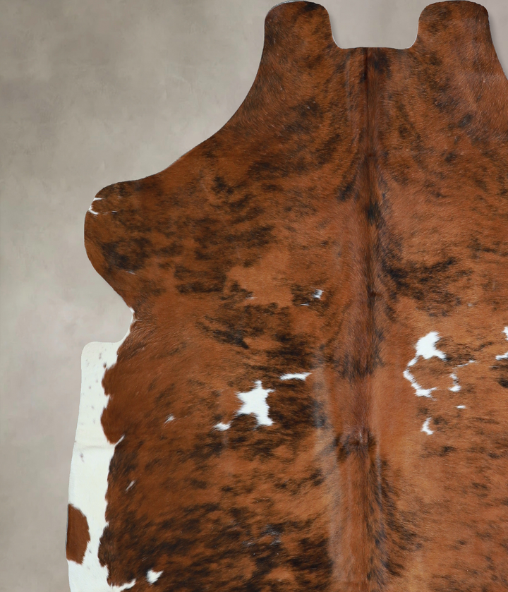 Tricolor X-Large European Cowhide Rug 6'4"H x 6'5"W #A40564 by Hudson Hides