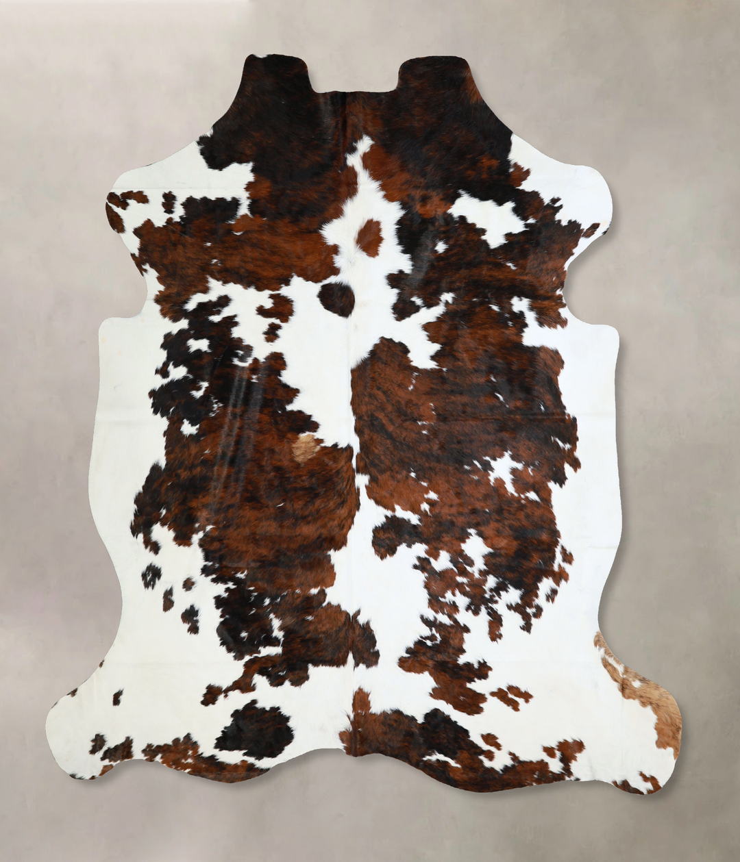 Tricolor X-Large European Cowhide Rug 7'0"H x 6'5"W #A40574 by Hudson