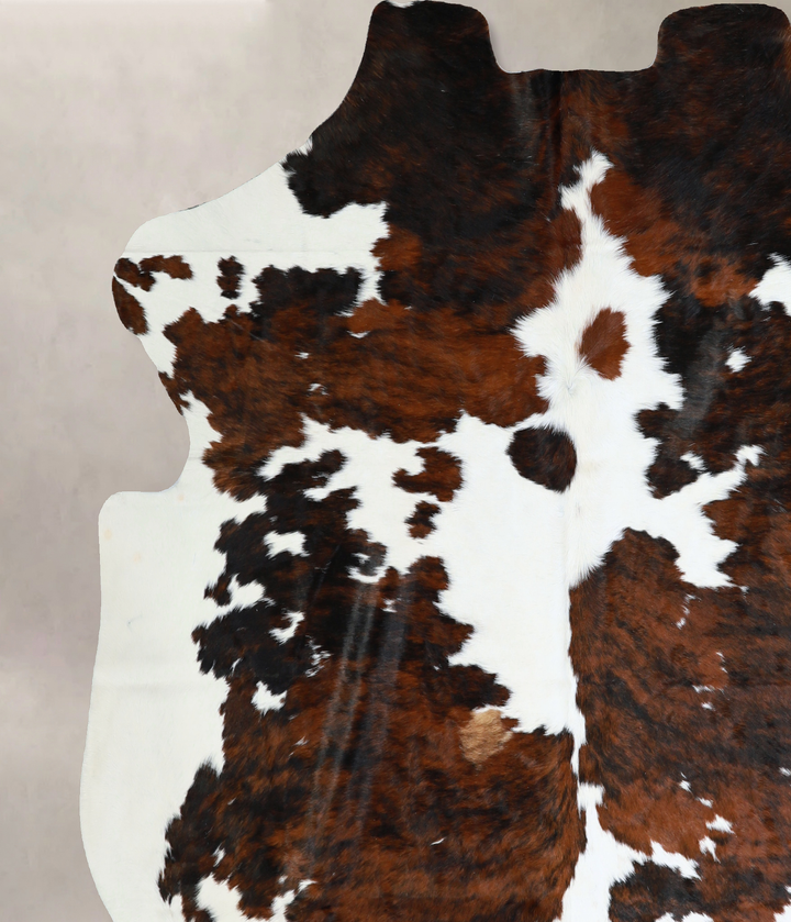 Tricolor X-Large European Cowhide Rug 7'0"H x 6'5"W #A40574 by Hudson Hides