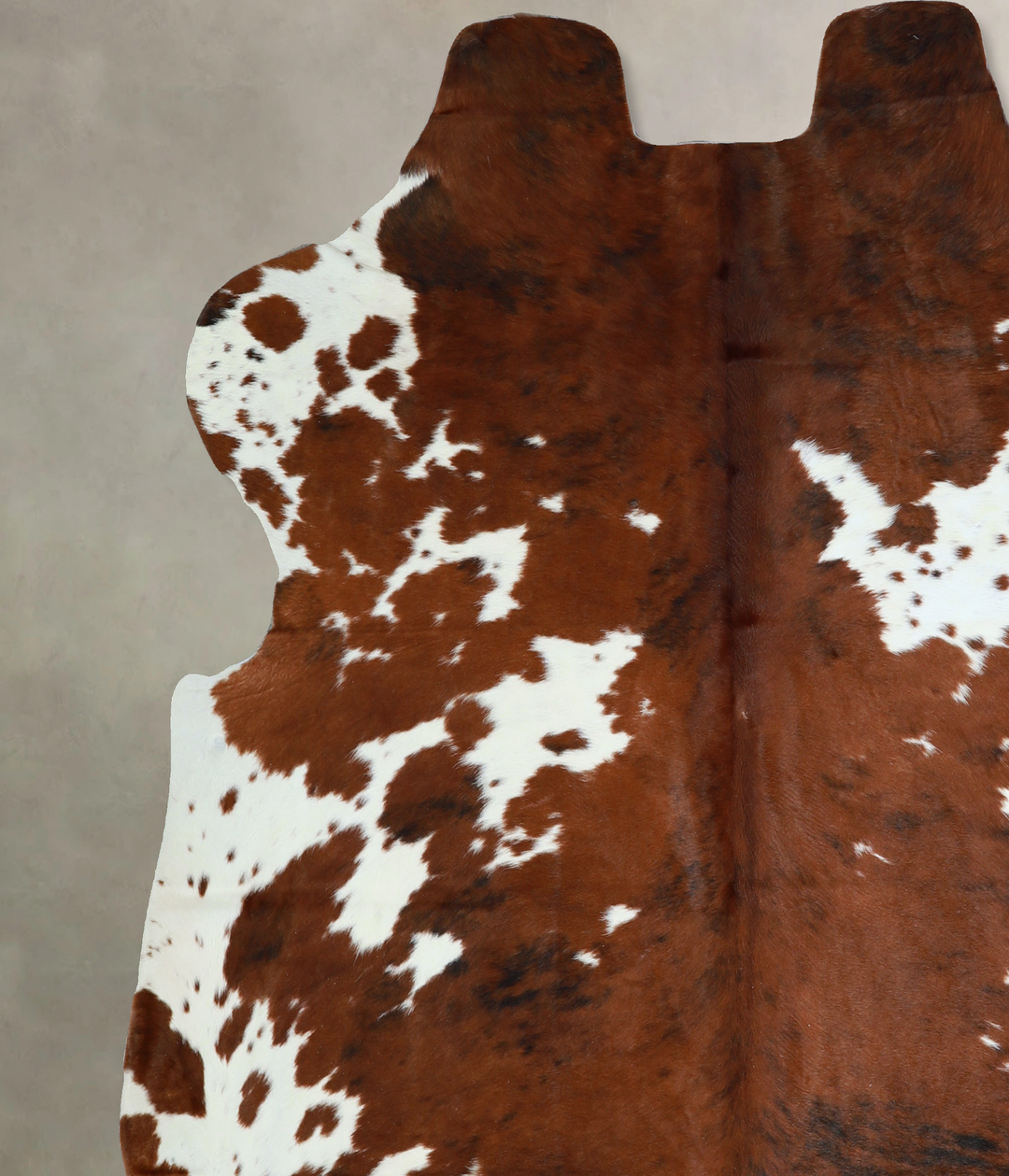 Tricolor X-Large European Cowhide Rug 7'0"H x 6'7"W #A40575 by Hudson