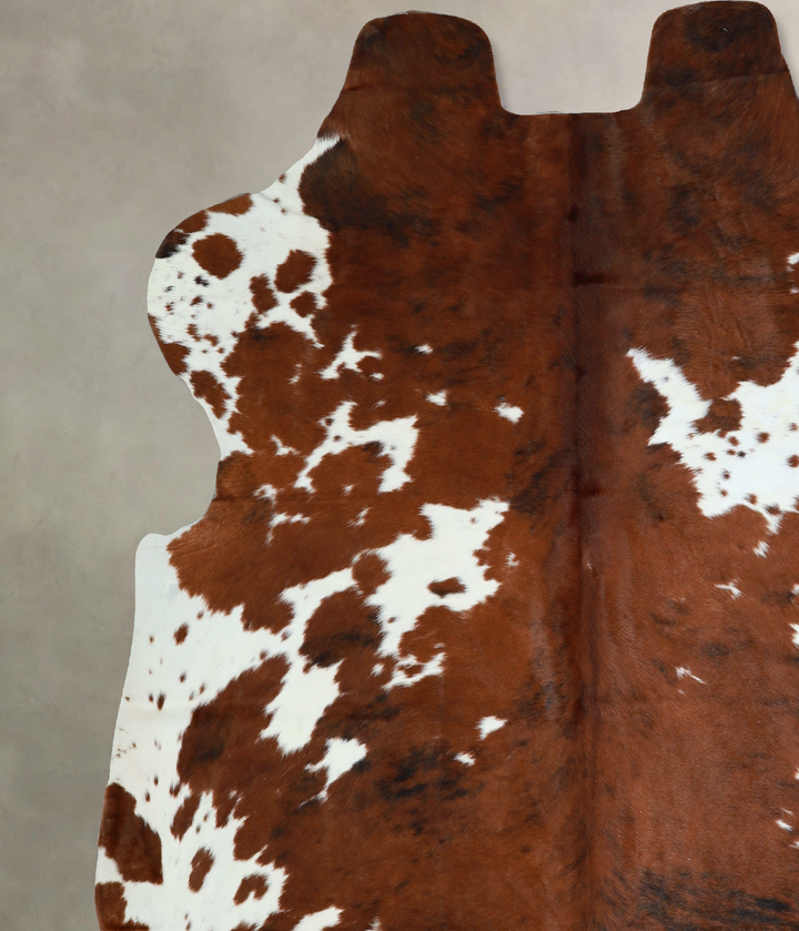 Tricolor X-Large European Cowhide Rug 7'0"H x 6'7"W #A40575 by Hudson Hides