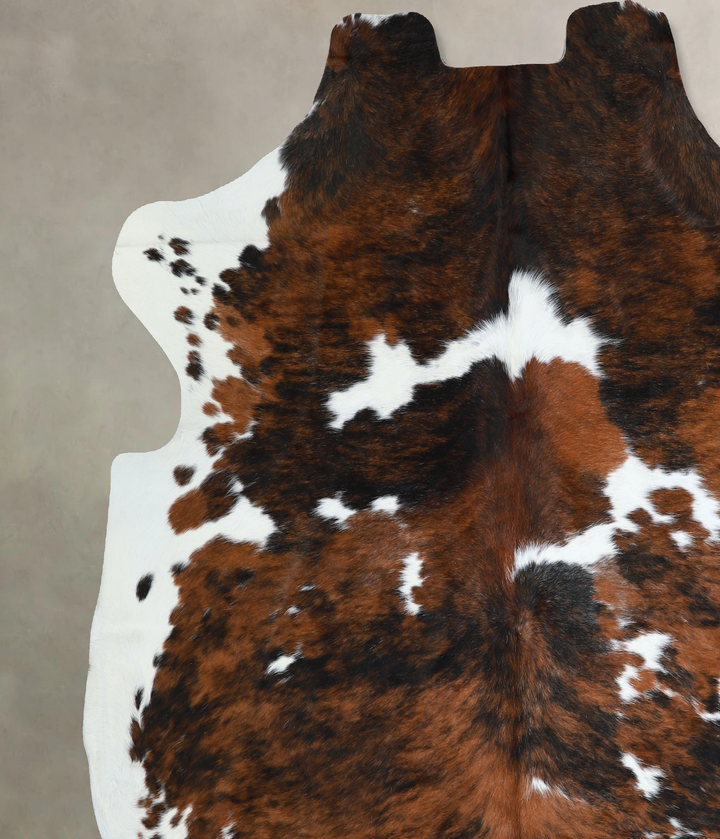 Tricolor X-Large European Cowhide Rug 6'11"H x 7'1"W #A40576 by Hudson Hides