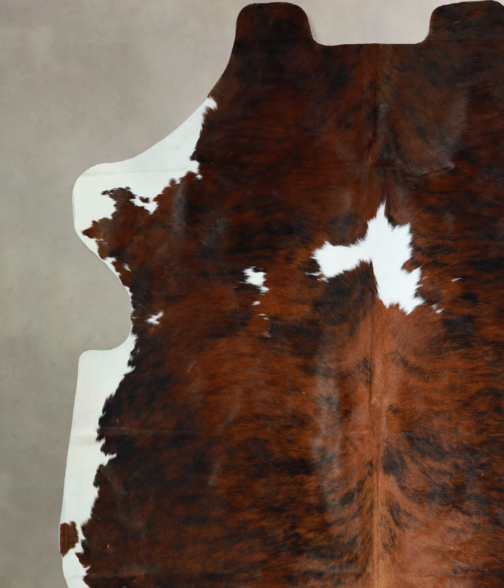 Tricolor X-Large European Cowhide Rug 7'0"H x 6'6"W #A40580 by Hudson Hides