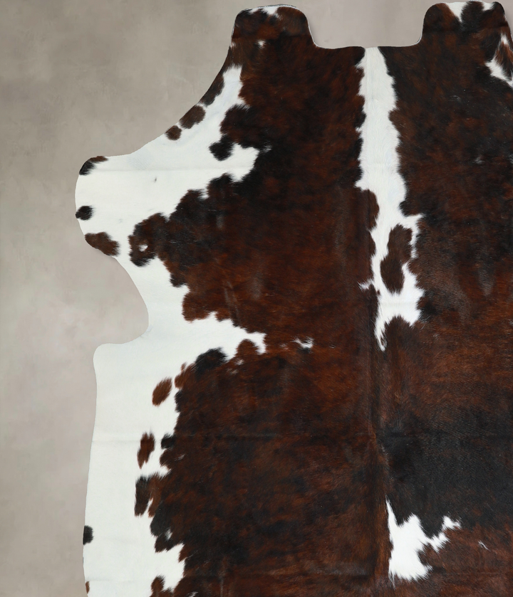 Tricolor X-Large European Cowhide Rug 7'1"H x 6'11"W #A40582 by Hudson Hides