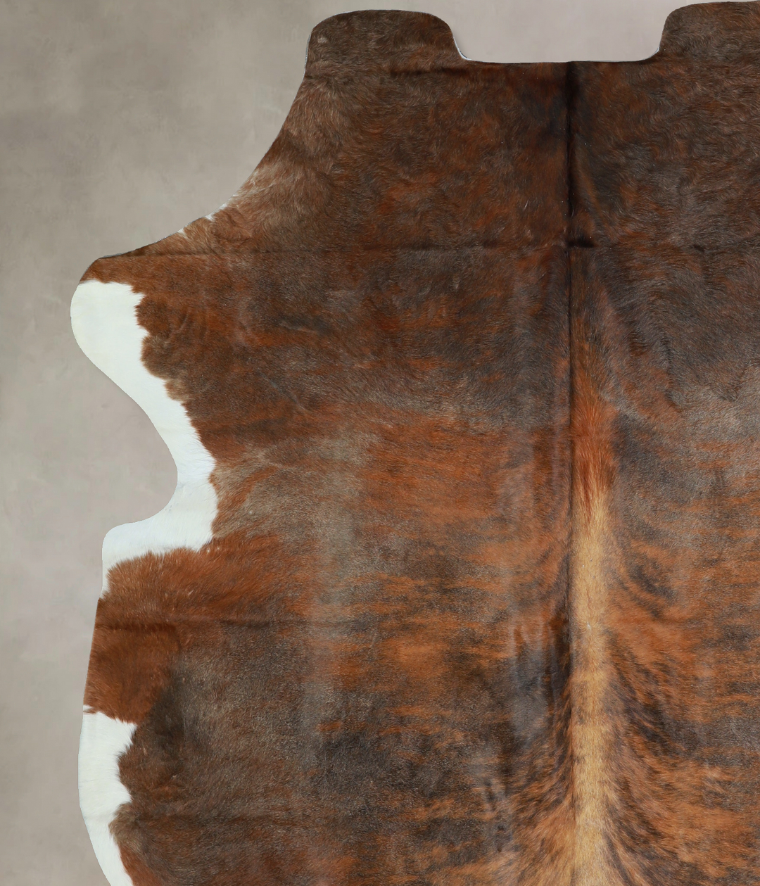 Tricolor X-Large European Cowhide Rug 7'8"H x 6'4"W #A40590 by Hudson