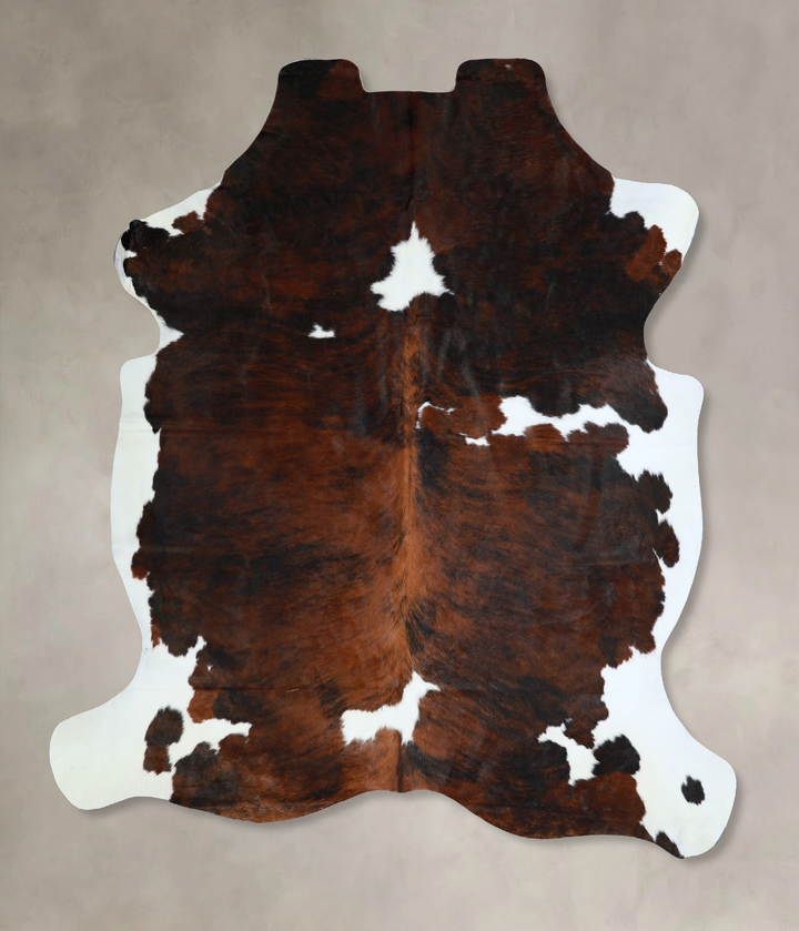 Tricolor X-Large European Cowhide Rug 6'11"H x 6'2"W #A40604 by Hudson Hides