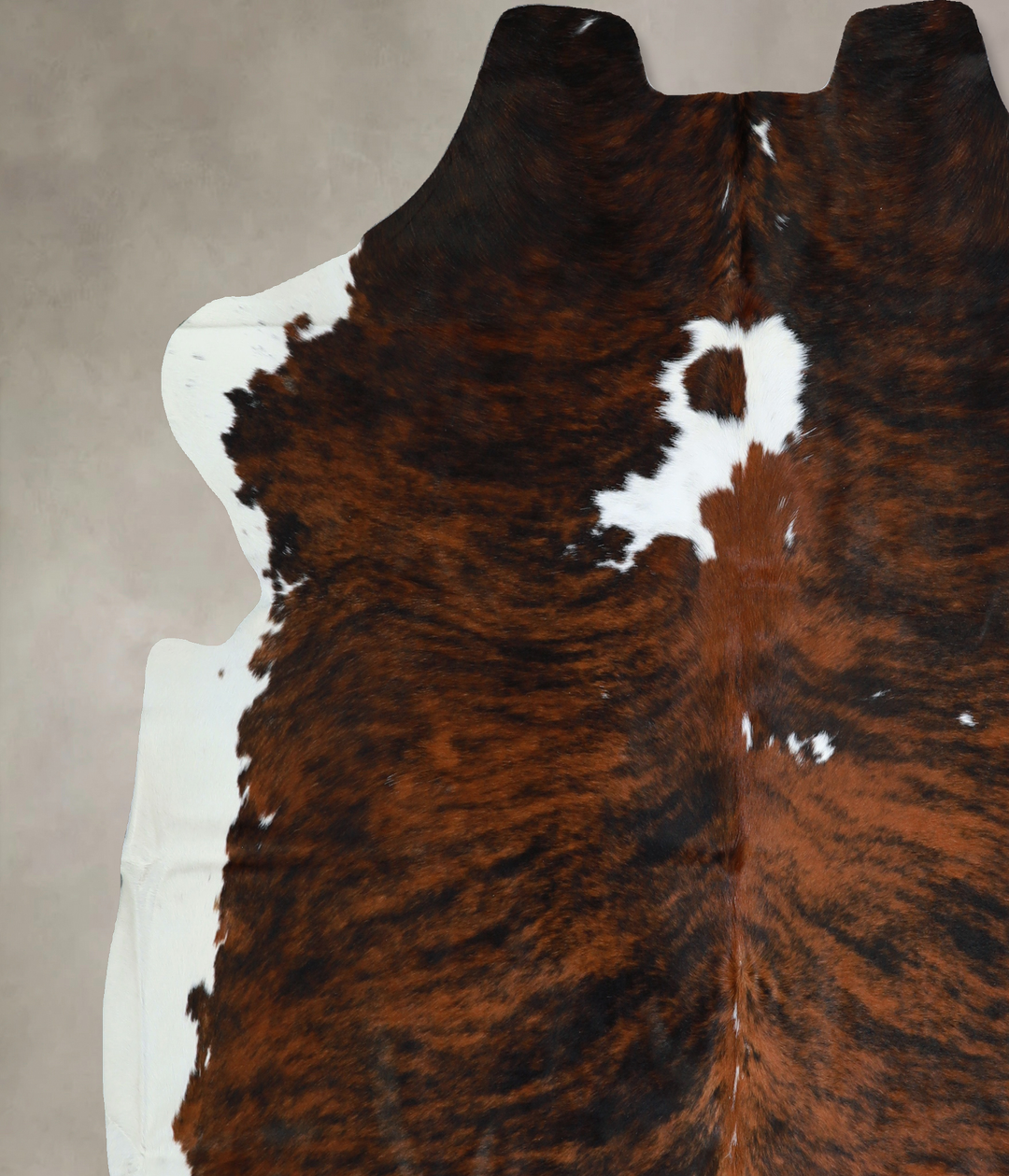 Tricolor X-Large European Cowhide Rug 6'11"H x 6'9"W #A40607 by Hudson