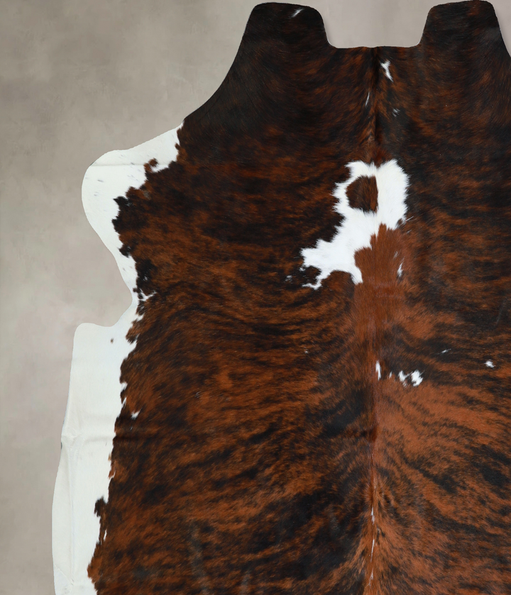 Tricolor X-Large European Cowhide Rug 6'11"H x 6'9"W #A40607 by Hudson Hides