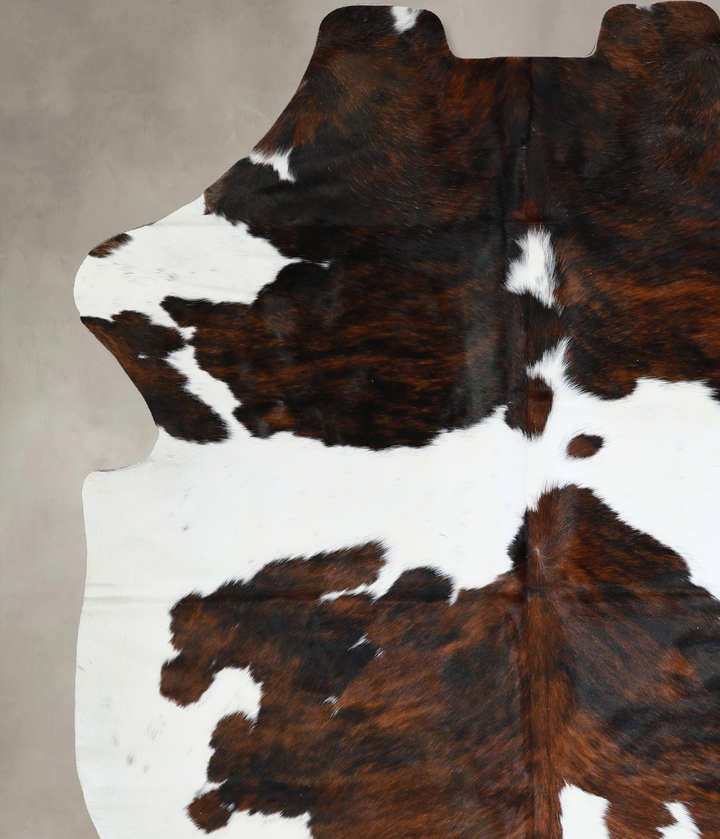 Tricolor X-Large European Cowhide Rug 7'6"H x 5'9"W #A40629 by Hudson Hides