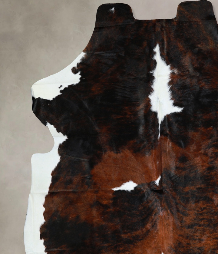 Tricolor X-Large European Cowhide Rug 7'2"H x 6'8"W #A40630 by Hudson Hides