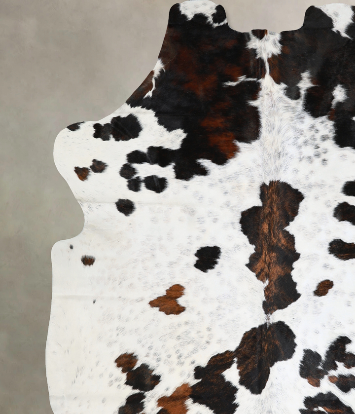 Tricolor X-Large European Cowhide Rug 7'2"H x 6'6"W #A40638 by Hudson Hides