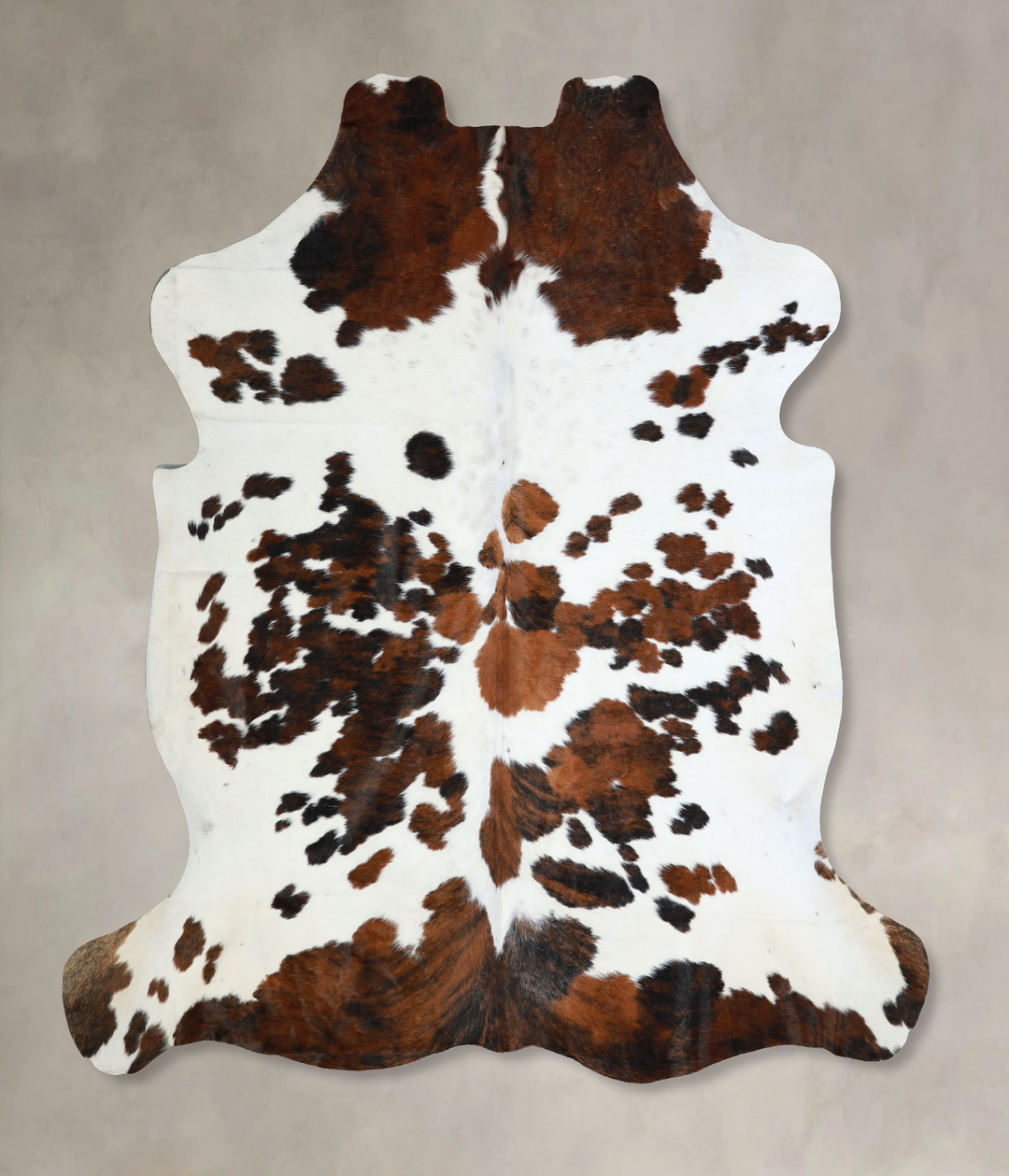Tricolor X-Large European Cowhide Rug 7'0"H x 6'10"W #A40640 by Hudson
