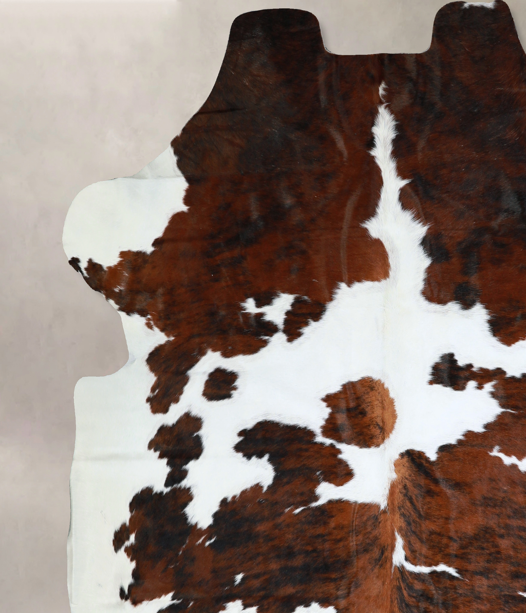 Tricolor X-Large European Cowhide Rug 7'1"H x 6'9"W #A40642 by Hudson
