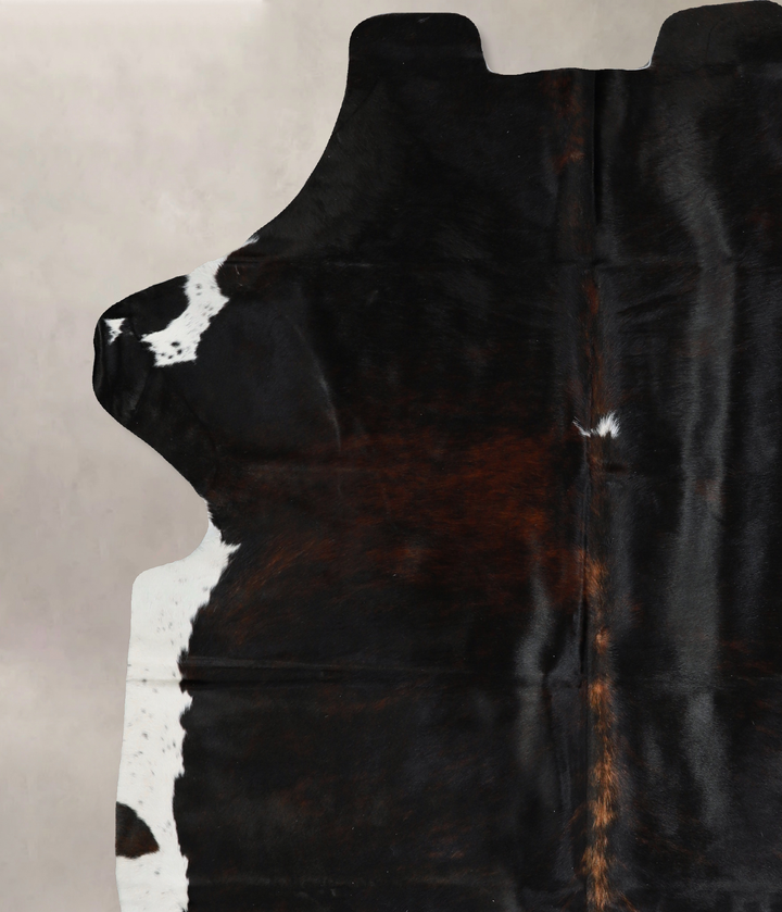 Tricolor X-Large European Cowhide Rug 7'2"H x 6'6"W #A40650 by Hudson Hides