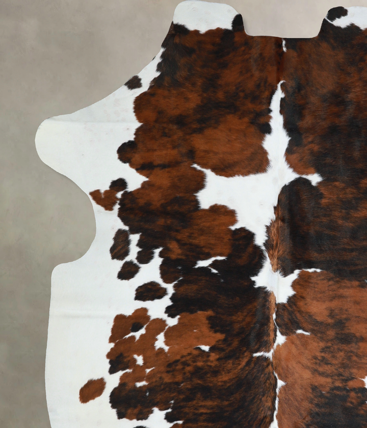 Tricolor X-Large European Cowhide Rug 7'1"H x 6'2"W #A40654 by Hudson Hides