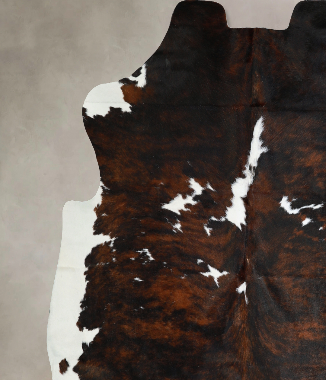 Tricolor X-Large European Cowhide Rug 7'0"H x 6'8"W #A40659 by Hudson