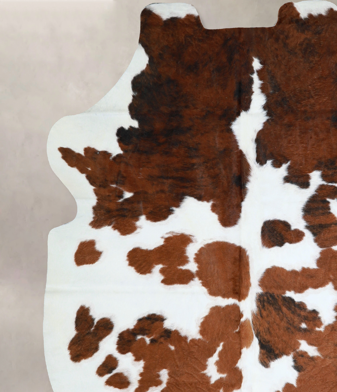 Tricolor X-Large European Cowhide Rug 6'11"H x 6'3"W #A40660 by Hudson