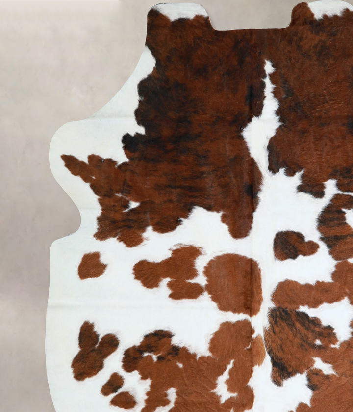 Tricolor X-Large European Cowhide Rug 6'11"H x 6'3"W #A40660 by Hudson Hides