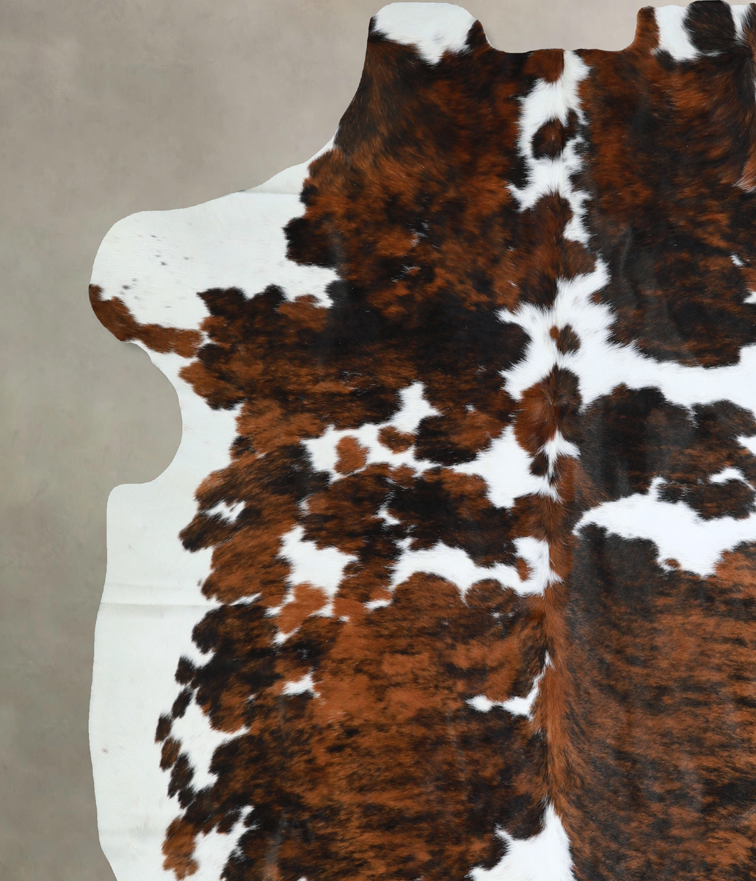 Tricolor X-Large European Cowhide Rug 7'6"H x 6'6"W #A40681 by Hudson