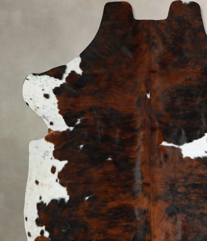 Tricolor X-Large European Cowhide Rug 7'0"H x 6'9"W #A40686 by Hudson Hides