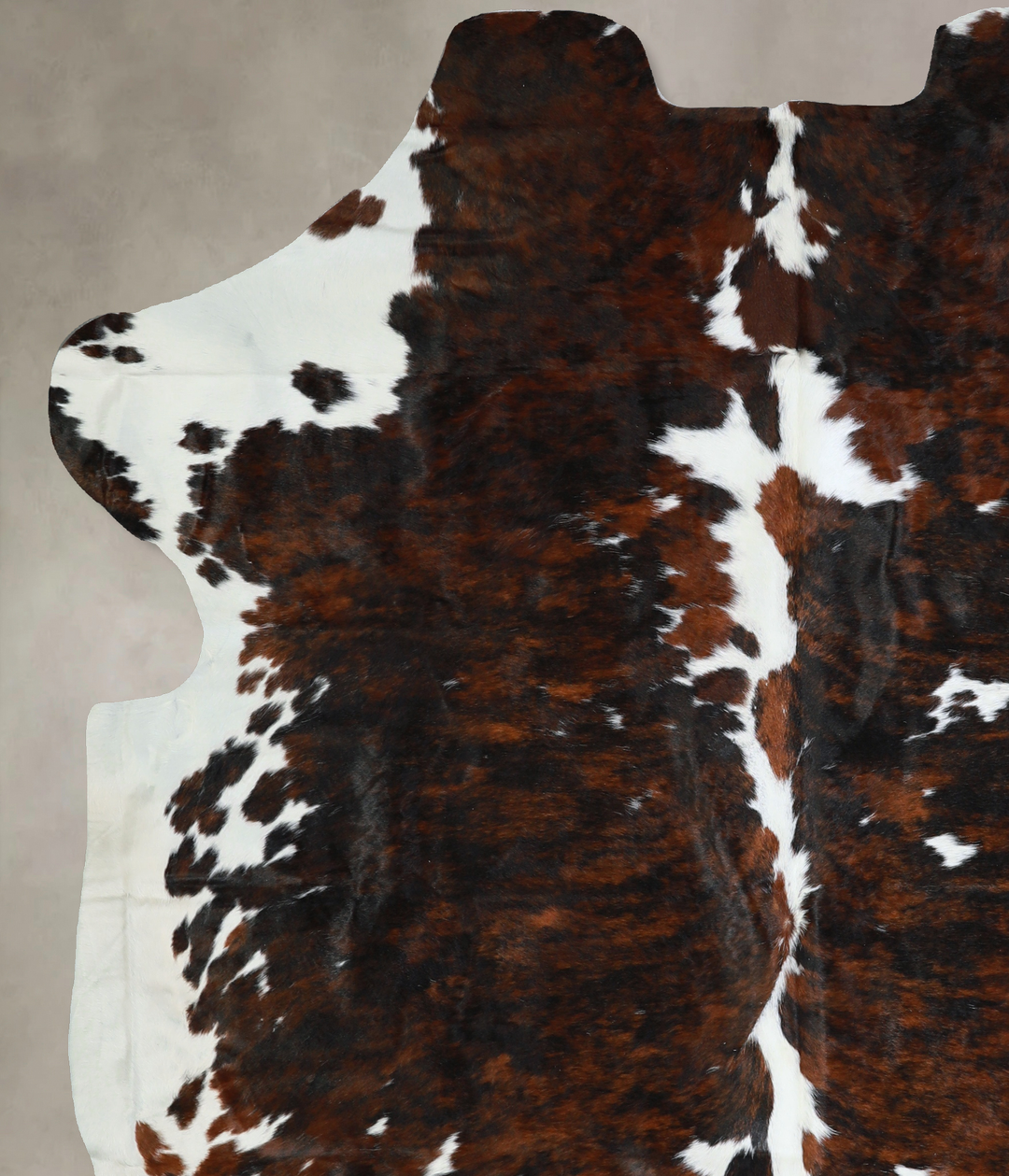 Tricolor X-Large European Cowhide Rug 7'7"H x 6'3"W #A40692 by Hudson