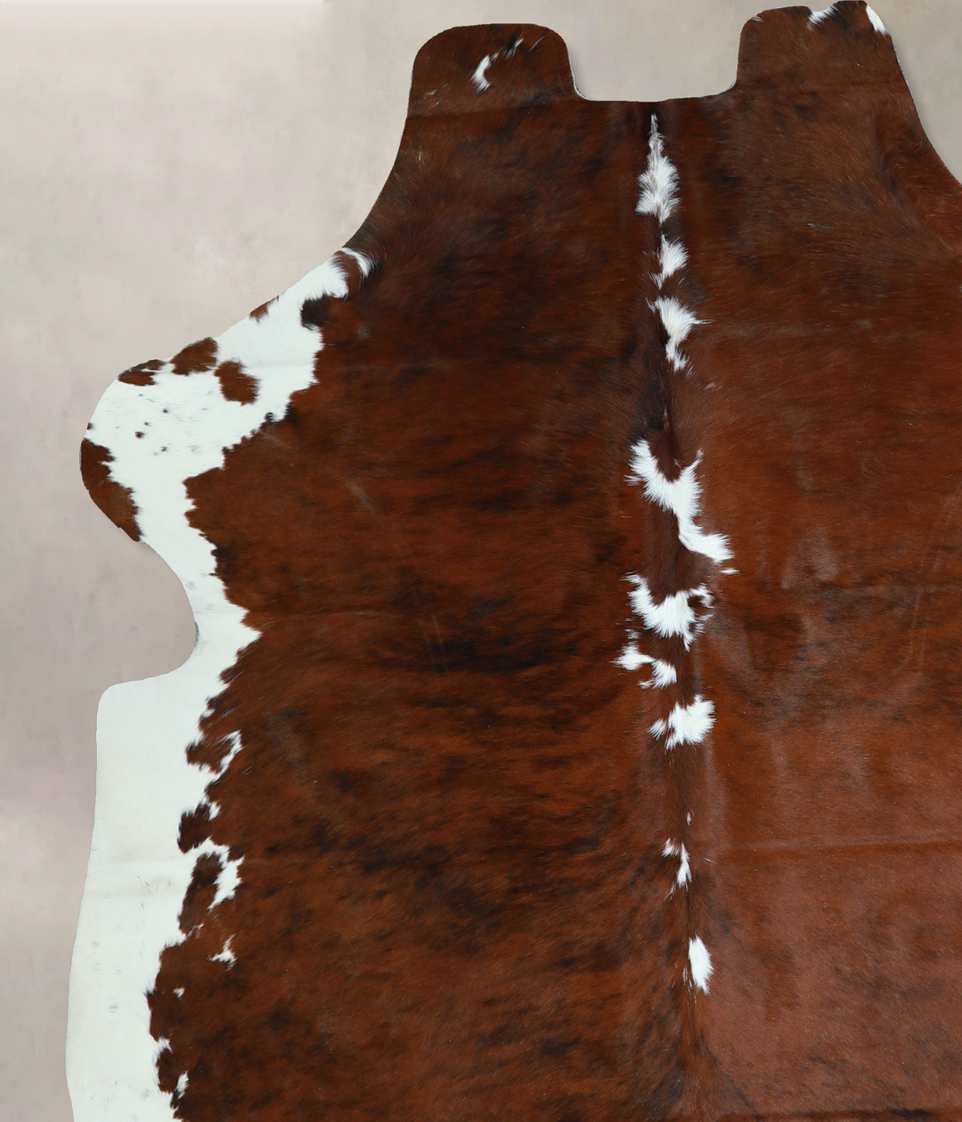 Tricolor X-Large European Cowhide Rug 7'0"H x 6'3"W #A40697 by Hudson