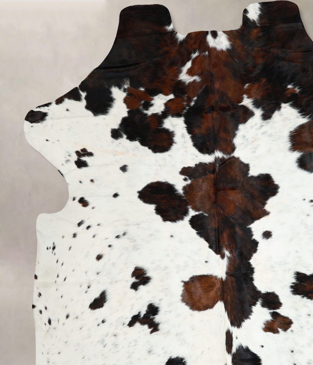 Tricolor X-Large European Cowhide Rug 7'1"H x 6'9"W #A40708 by Hudson