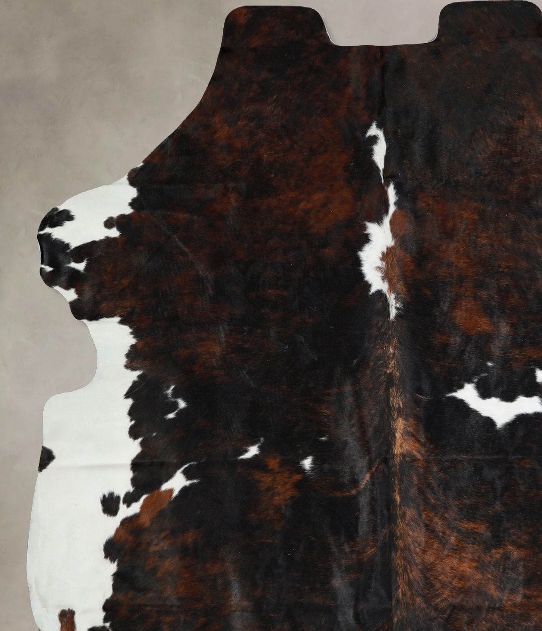 Tricolor X-Large European Cowhide Rug 7'4"H x 6'4"W #A40714 by Hudson