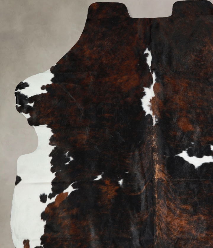 Tricolor X-Large European Cowhide Rug 7'4"H x 6'4"W #A40714 by Hudson Hides