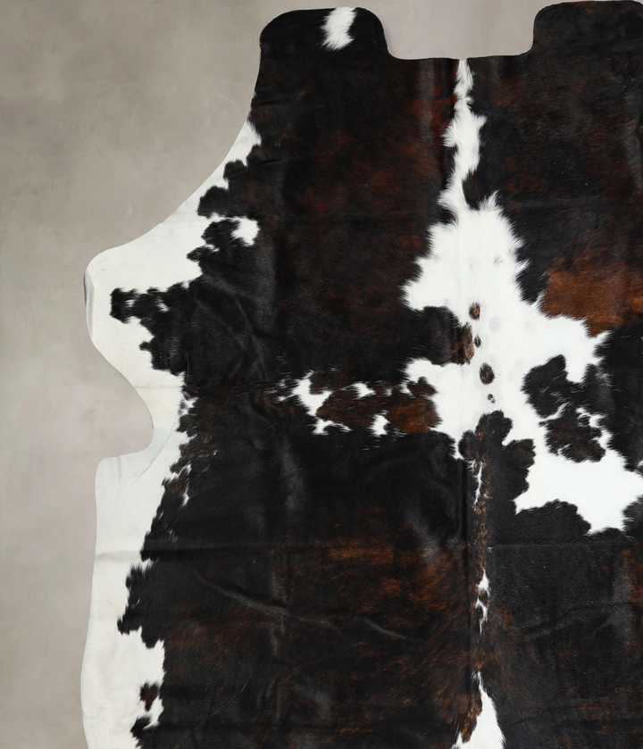 Tricolor X-Large European Cowhide Rug 7'2"H x 6'10"W #A40716 by Hudson Hides