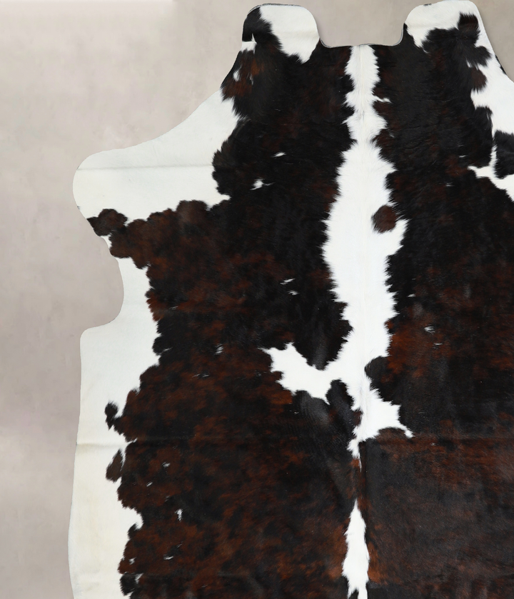 Tricolor X-Large European Cowhide Rug 7'2"H x 6'11"W #A40718 by Hudson Hides