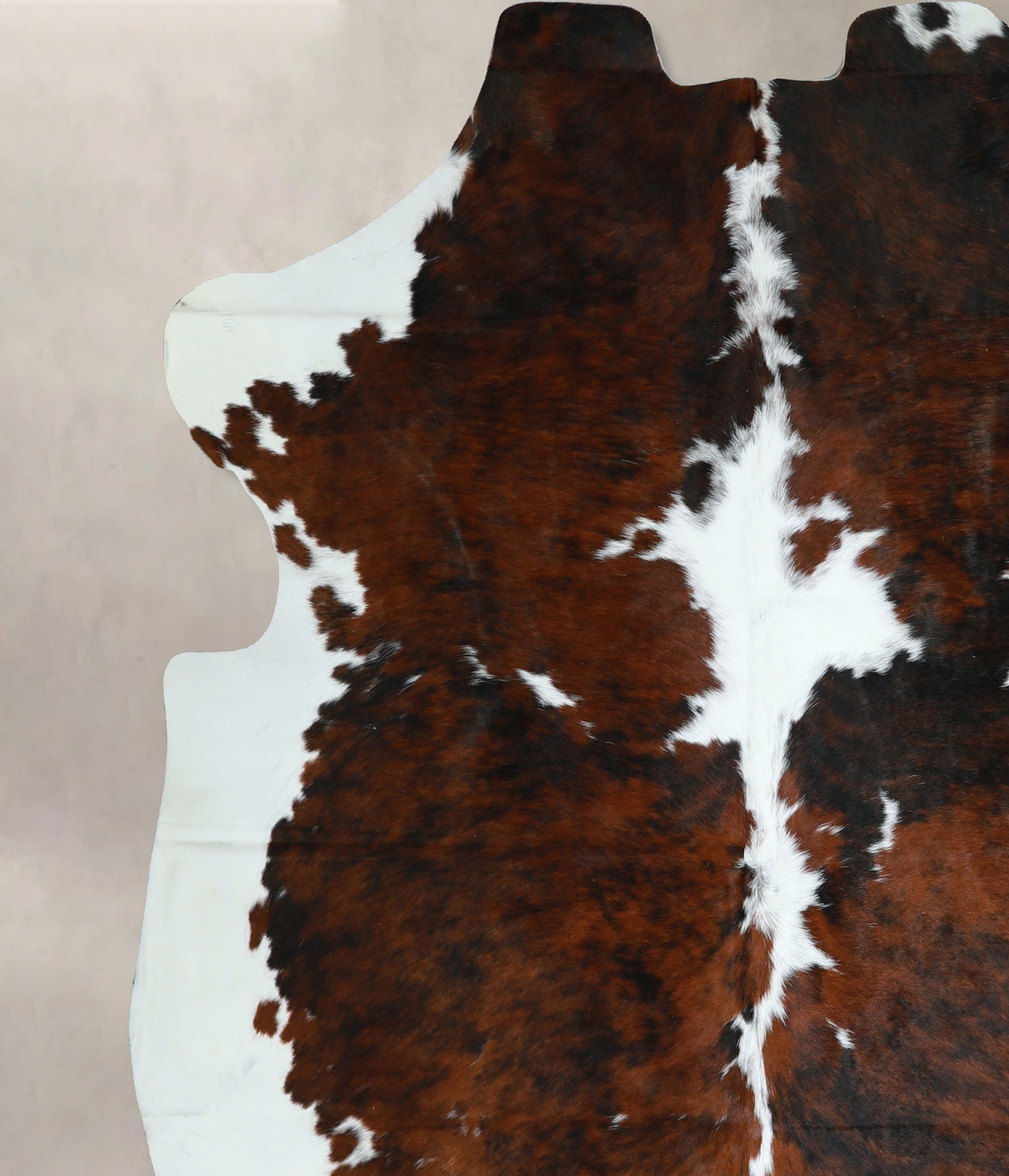 Tricolor X-Large European Cowhide Rug 7'2"H x 6'8"W #A40723 by Hudson