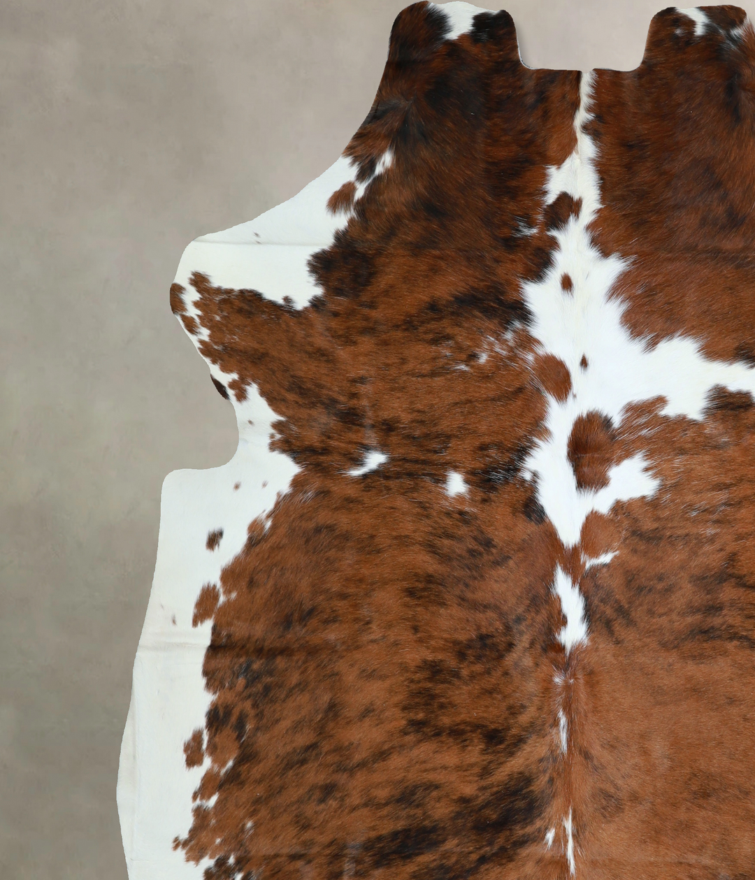 Tricolor X-Large European Cowhide Rug 7'0"H x 6'10"W #A40725 by Hudson