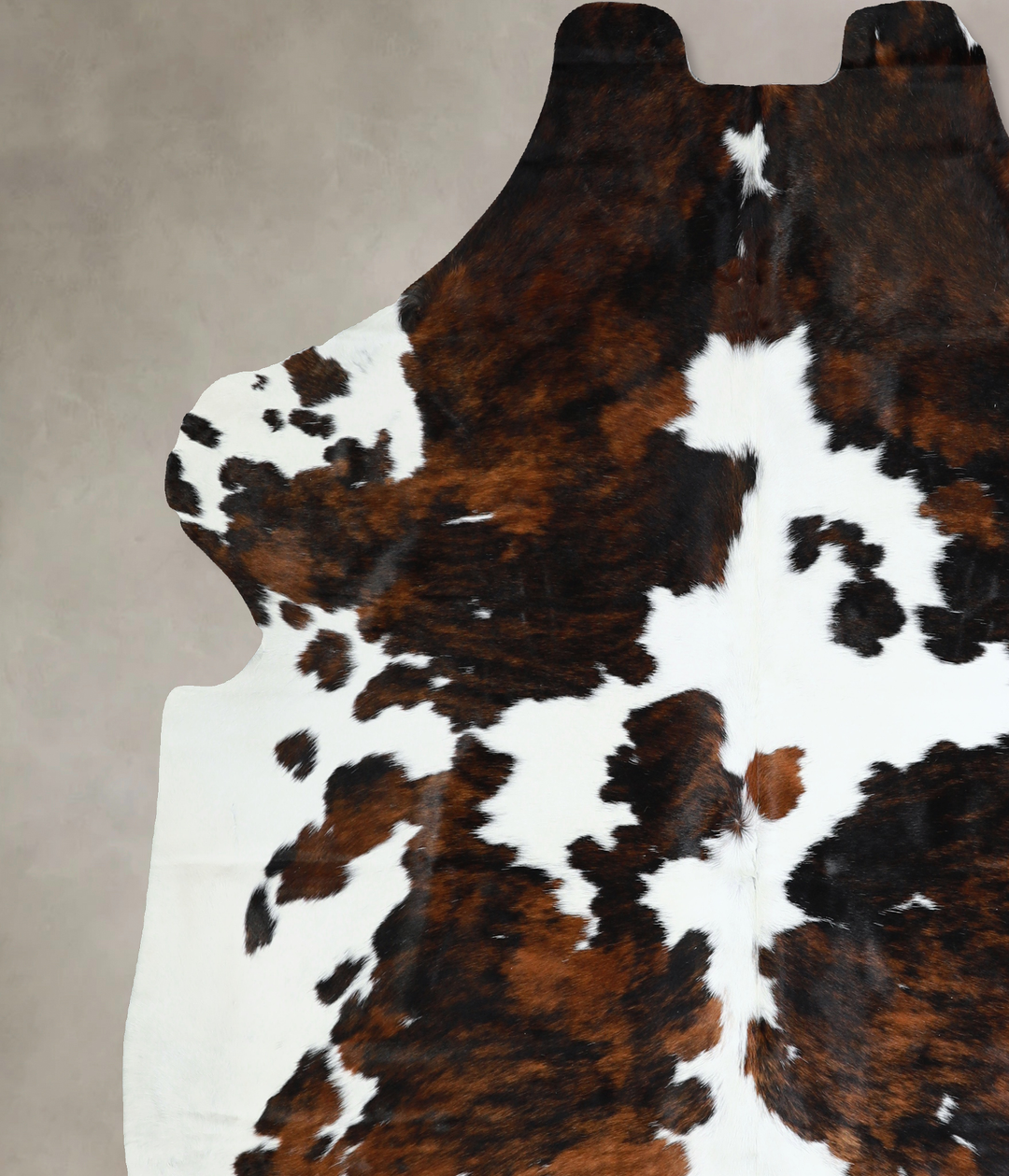 Tricolor X-Large European Cowhide Rug 7'5"H x 6'8"W #A40808 by Hudson