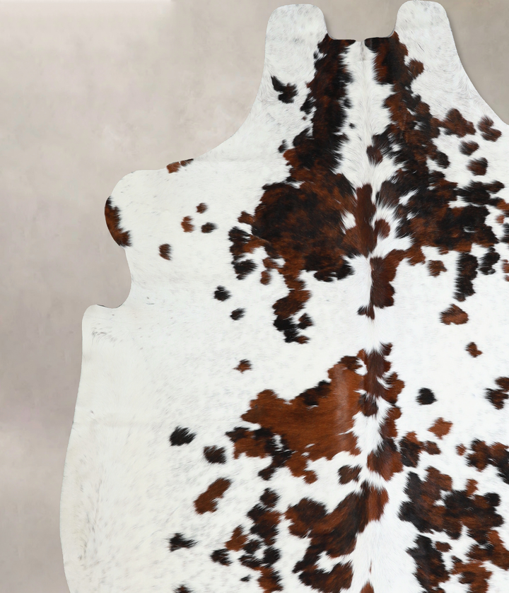 Tricolor XX-Large European Cowhide Rug 7'5"H x 7'5"W #A40882 by Hudson Hides