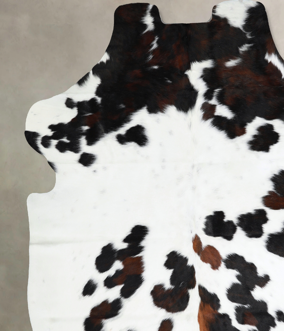 Tricolor X-Large European Cowhide Rug 7'4"H x 6'1"W #A40892 by Hudson