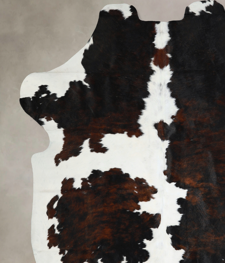 Tricolor X-Large European Cowhide Rug 7'1"H x 6'6"W #A40963 by Hudson Hides