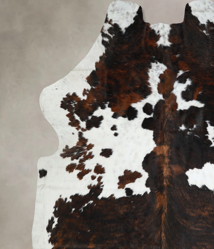 Tricolor X-Large European Cowhide Rug 6'10"H x 7'1"W #A41026 by Hudson Hides