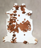 Tricolor Large European Cowhide Rug 5'9