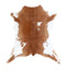 Calfhide Approx 2'x3' #A42659 by Hudson Hides