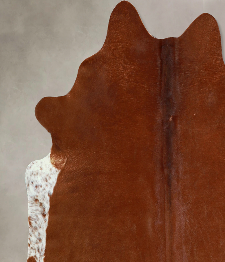Brown and White Regular X-Large Brazilian Cowhide Rug 6'6"H x 6'6"W #A42810 by Hudson Hides