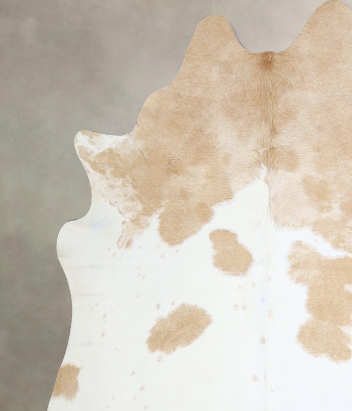 Beige and White XX-Large Brazilian Cowhide Rug 7'5"H x 7'3"W #A42875 by Hudson Hides