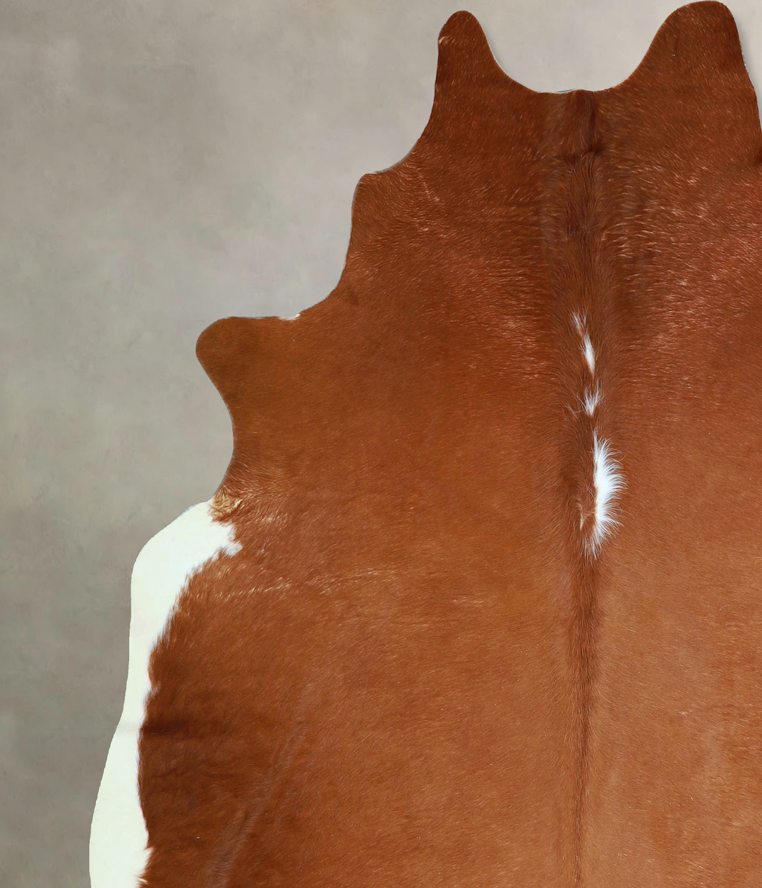 Brown and White Regular X-Large Brazilian Cowhide Rug 7'2"H x 6'4"W #A