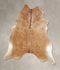 Beige X-Large Brazilian Cowhide Rug 7'2